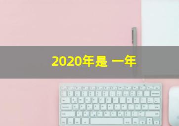 2020年是 一年